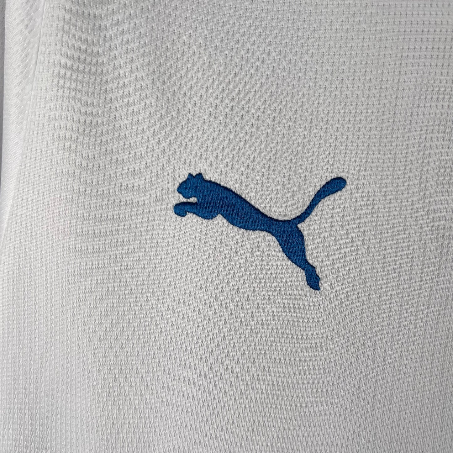 CAMISETA AL HILAL II 23/24 HOMBRE