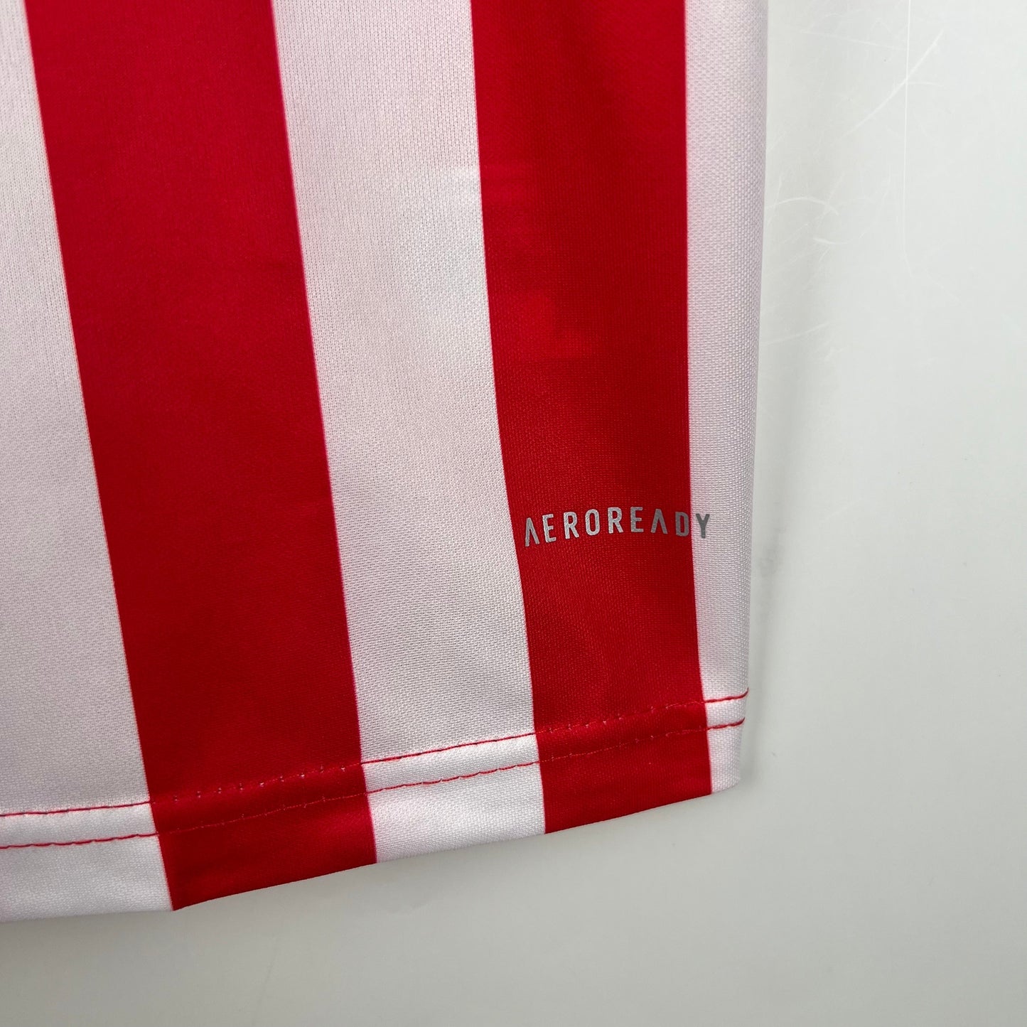 CAMISETA ANIQUILADORES I 23/24 HOMBRE