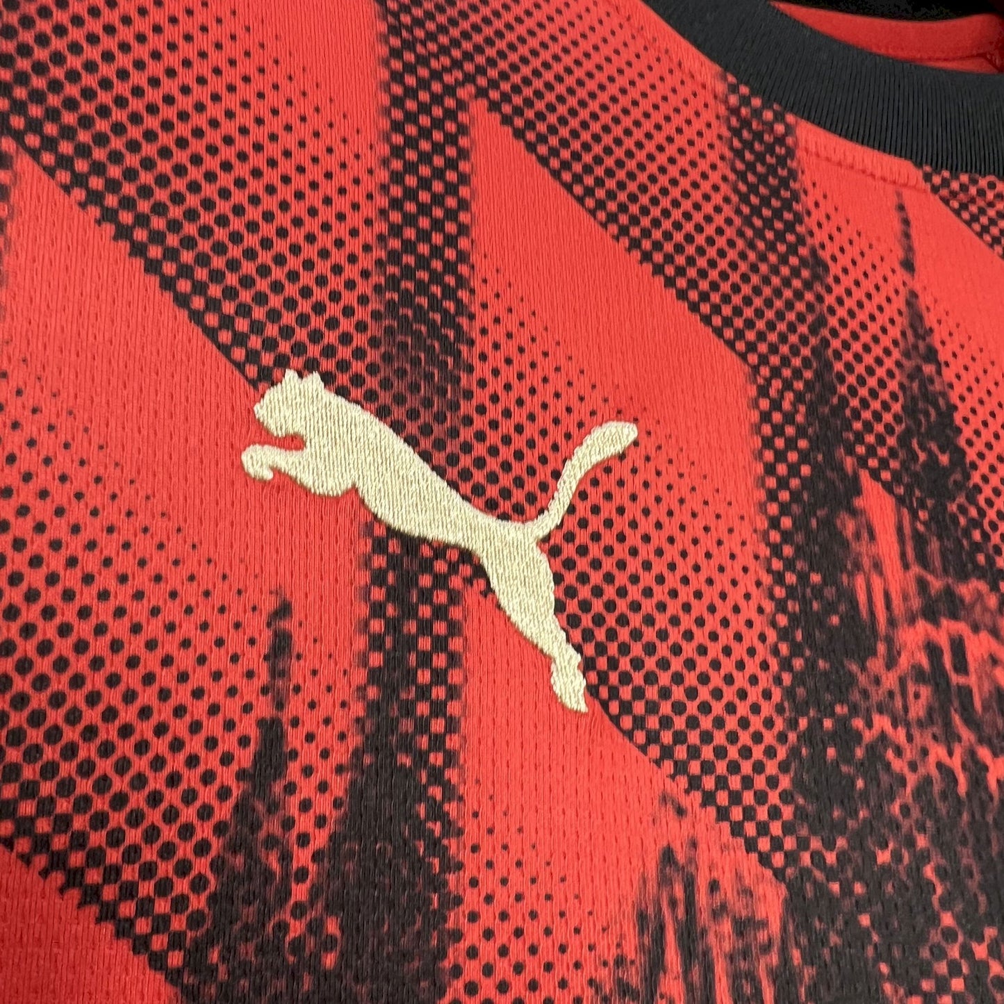 CAMISETA MILAN EDICIÓN CATEDRAL 24/25